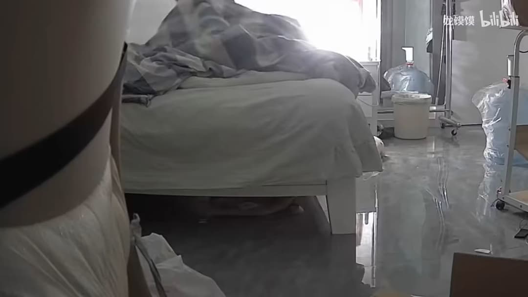 《并不喜欢吃鱼》